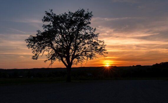 Sonnenuntergang Teufelsschlucht