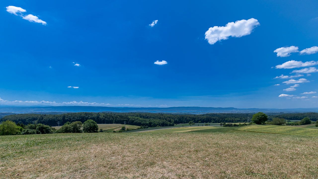 Aussicht Schneckenberg