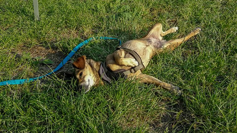 Finja beim chillen