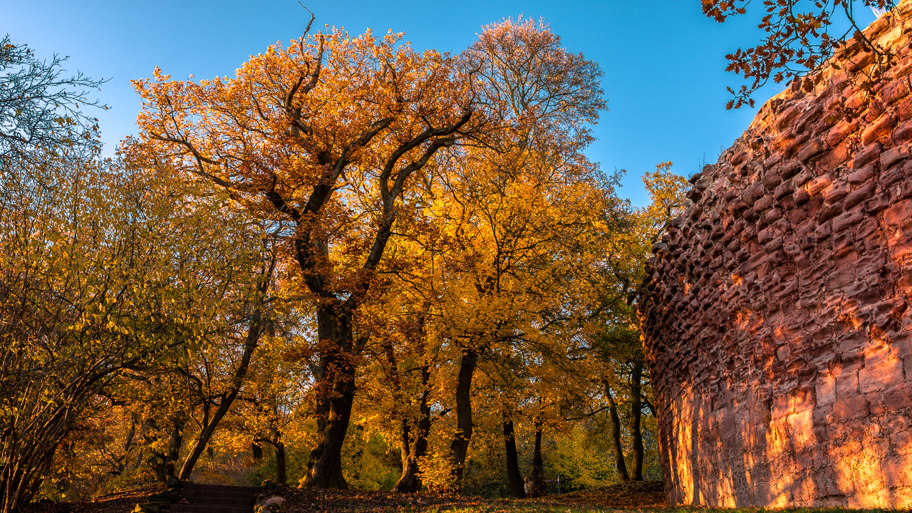 Herbststimmung Kyffhäuser Denkmal