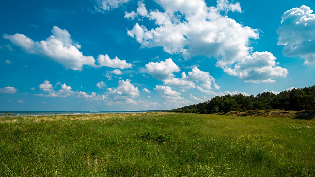 Landschaft Darß