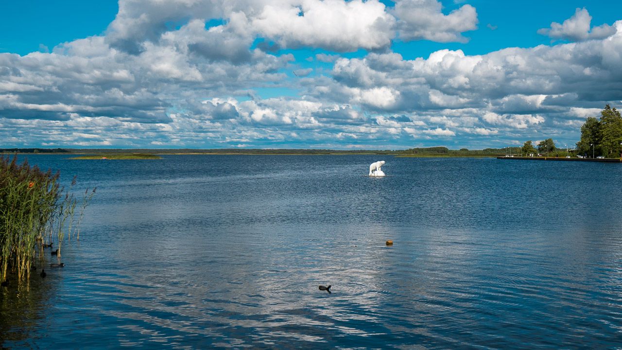 Eisbär in Haapsalu