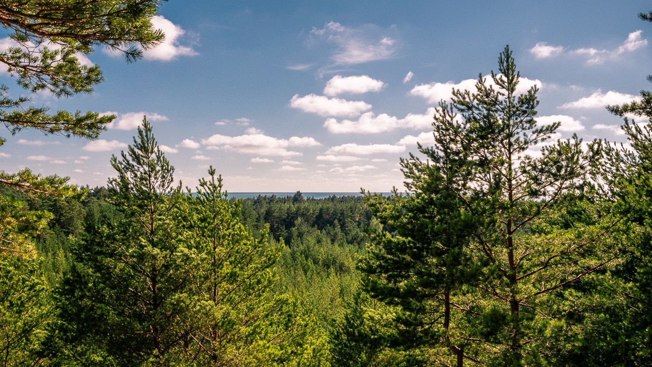 Höchste Düne Lettlands