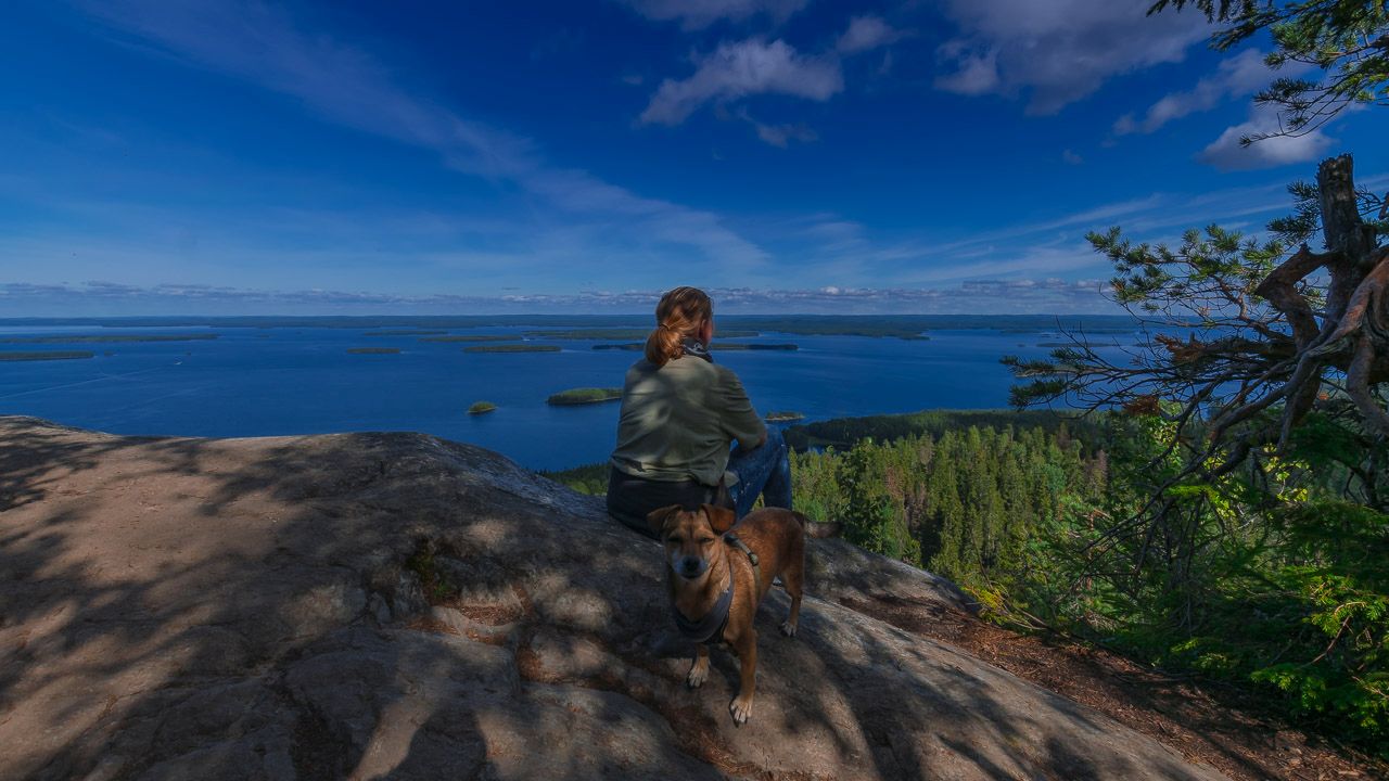 Melli im Nationalpark Koli