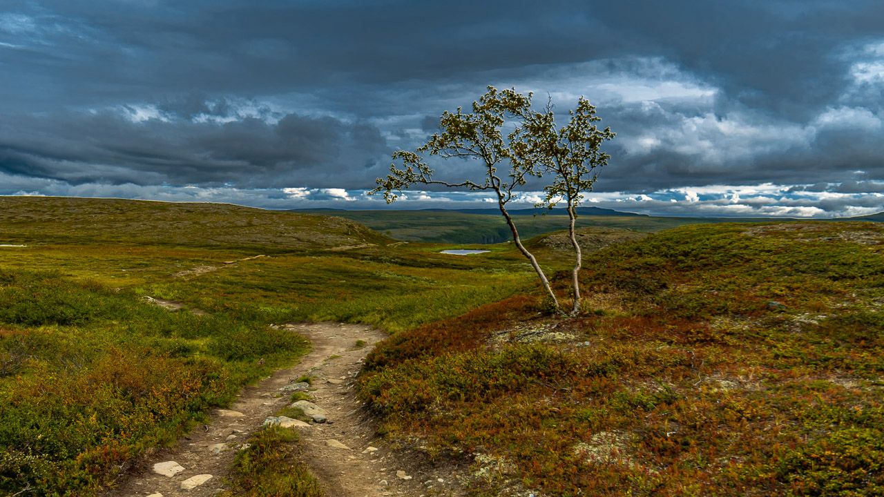 Panorama zum Alta Canoyon