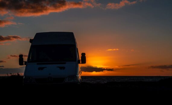 Eisbär im Sonnenuntergang in Dänemark