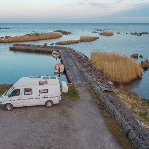 Eisbär im kleinen Hafen
