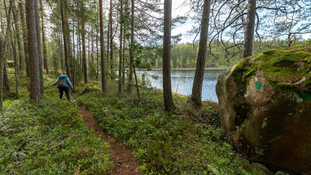 Große Steine am See Stora Hammarsjön