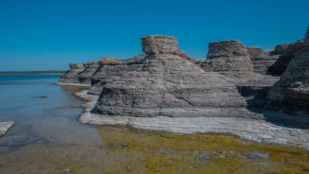 Kalksteinküste auf Öland