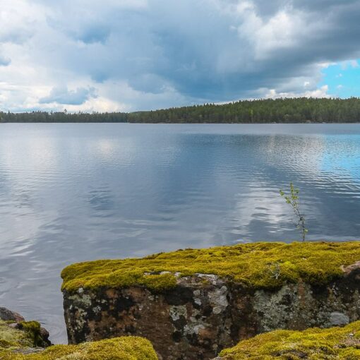 See Stora Hammarsjön