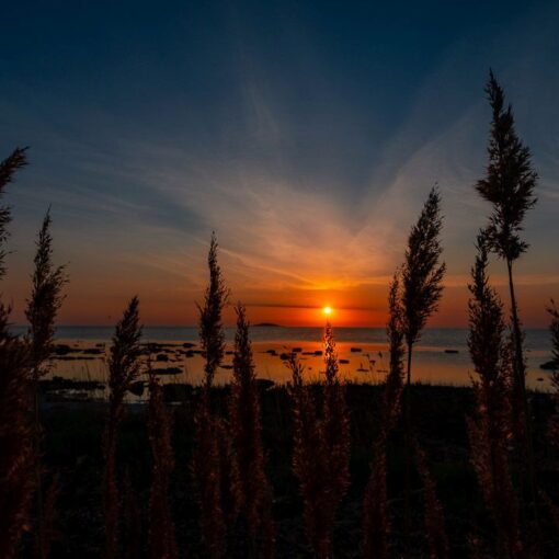 Sonnenuntergang auf der Insel Öland