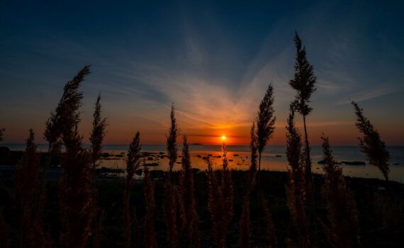 Sonnenuntergang auf der Insel Öland