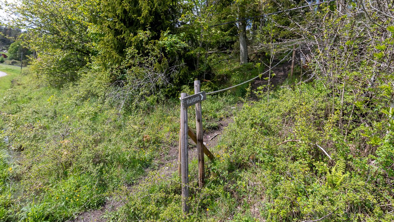 Auf geht es den Kalkberg hoch