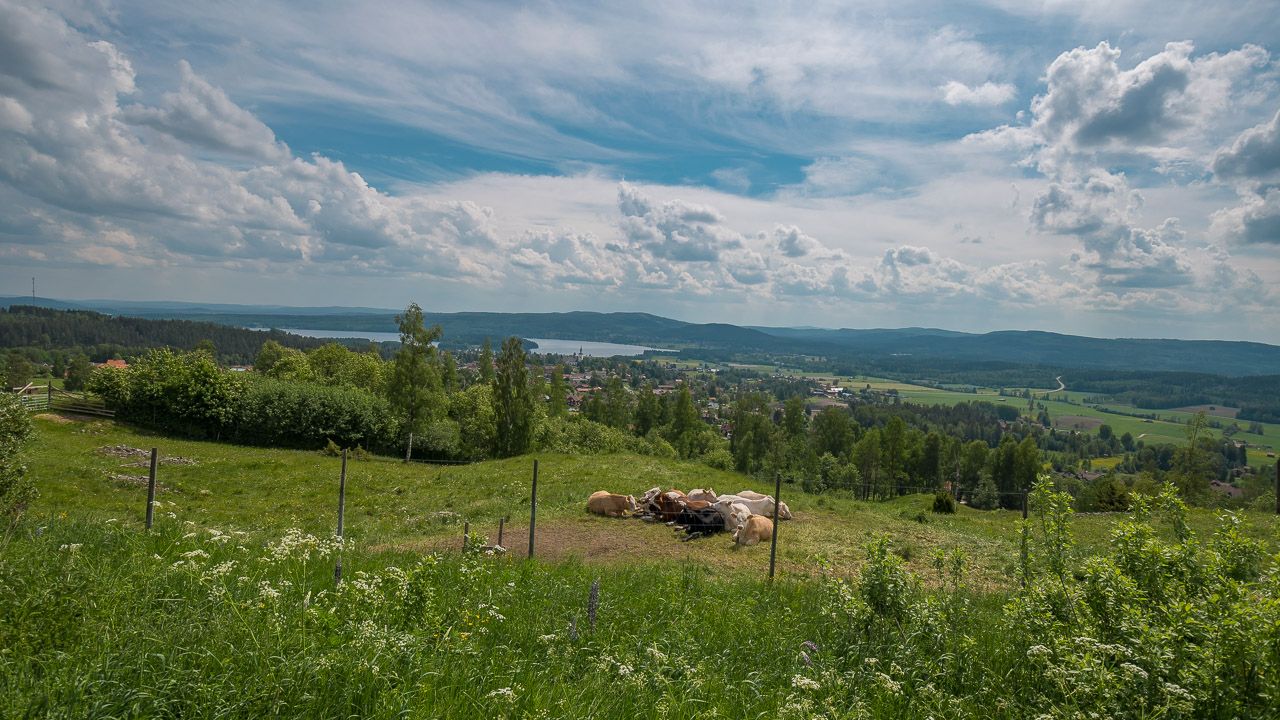 Ausblick Richtung Leksand