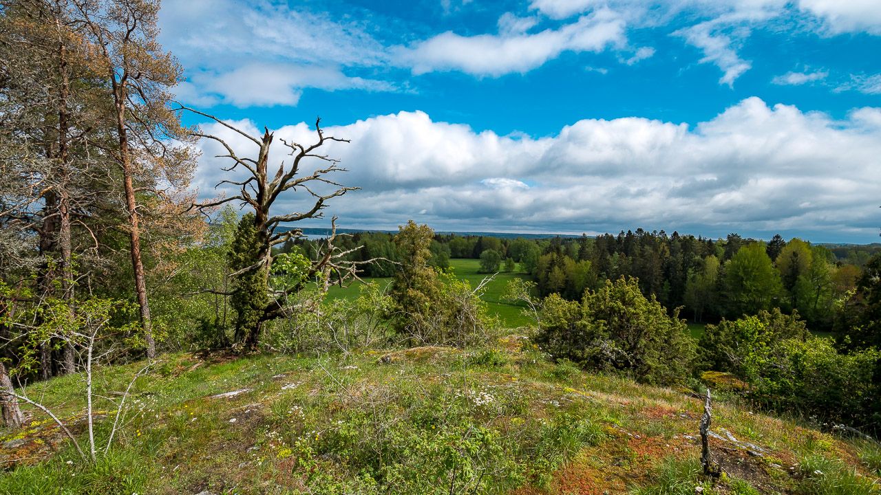 Ausicht vom Kalkberg im Naturreservat von Mörkö