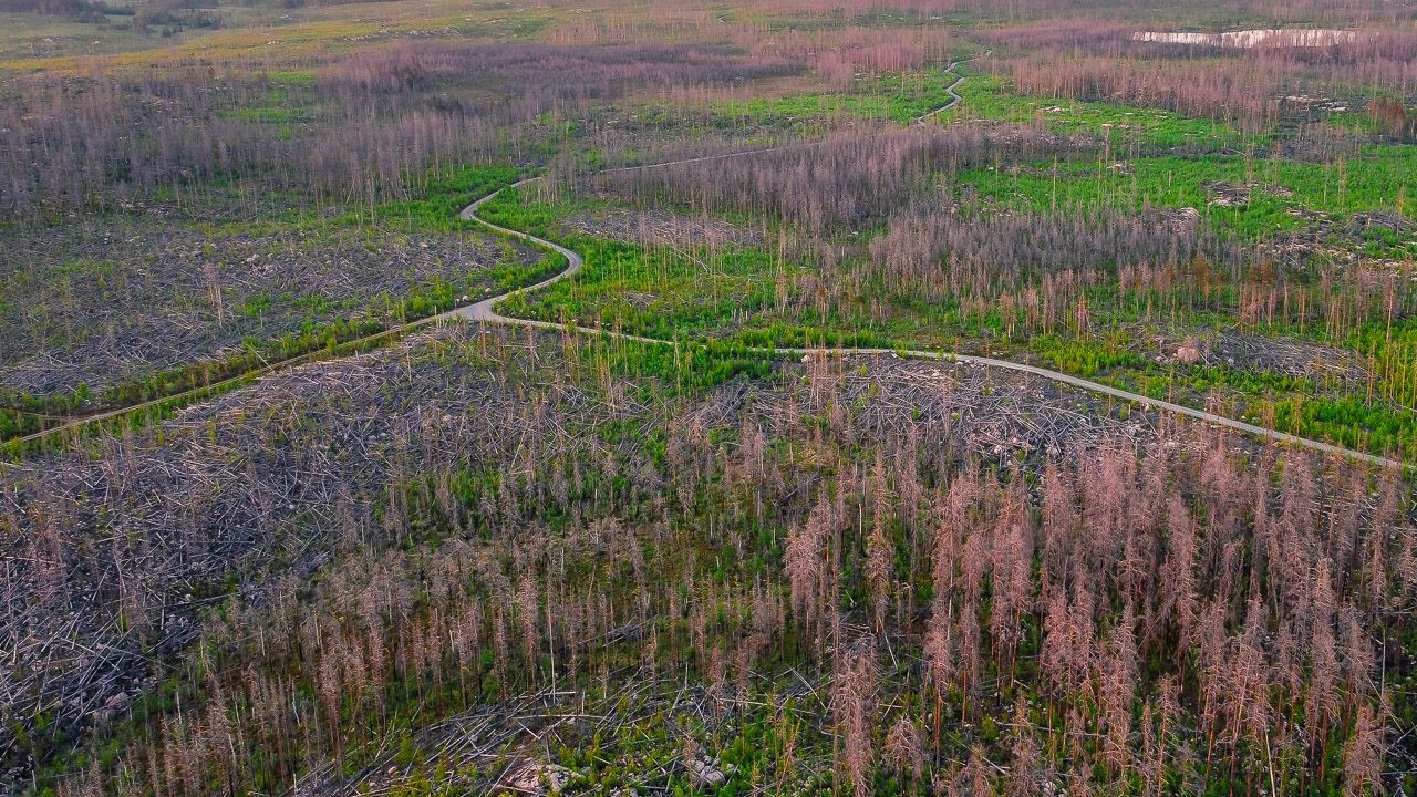 Naturreservat Hälleskogsbrännan