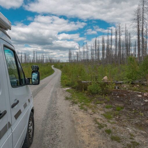 Naturreservat Hälleskogsbrännan