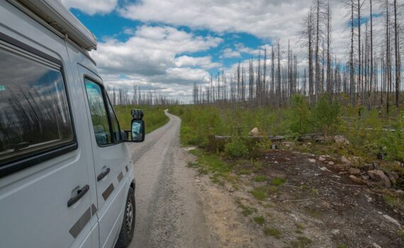 Naturreservat Hälleskogsbrännan