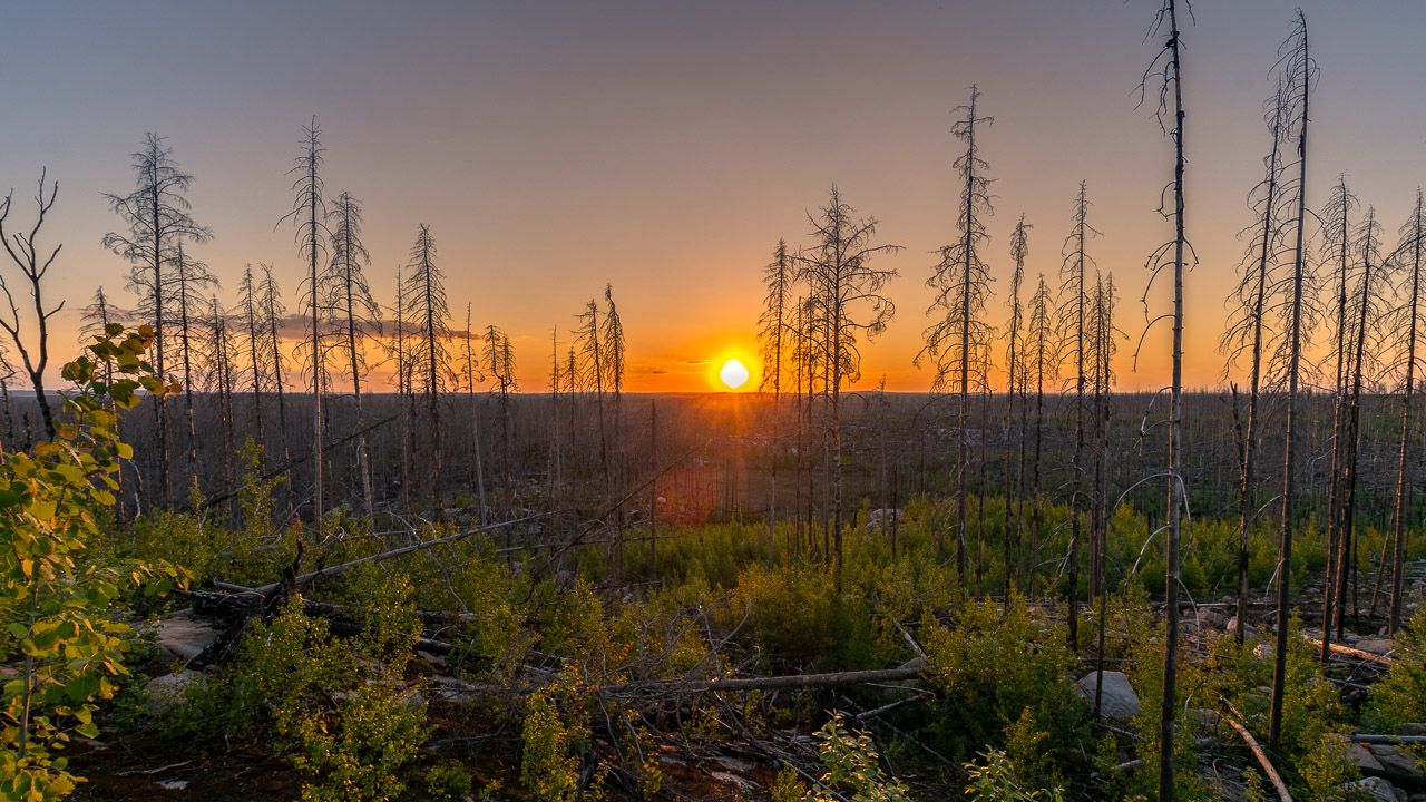 Sonnenuntergang im Naturreservat Hälleskogsbrännan