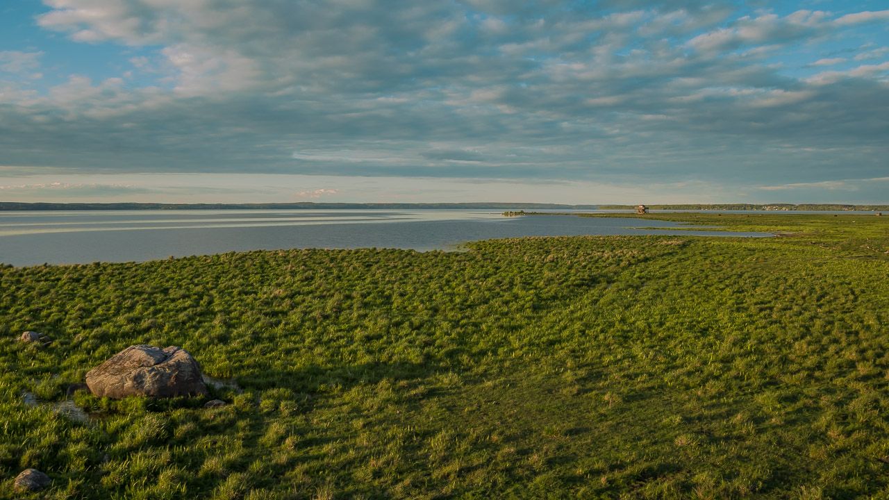 Vogelschutzgebiet Linköping