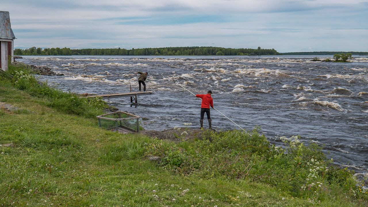 Fischer am Kukkolaforsen