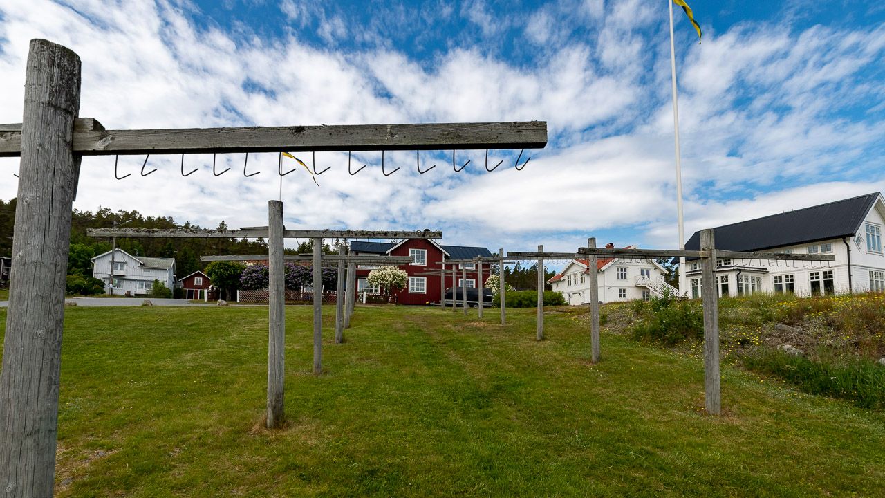 Fischtrocknung in Bönhamn