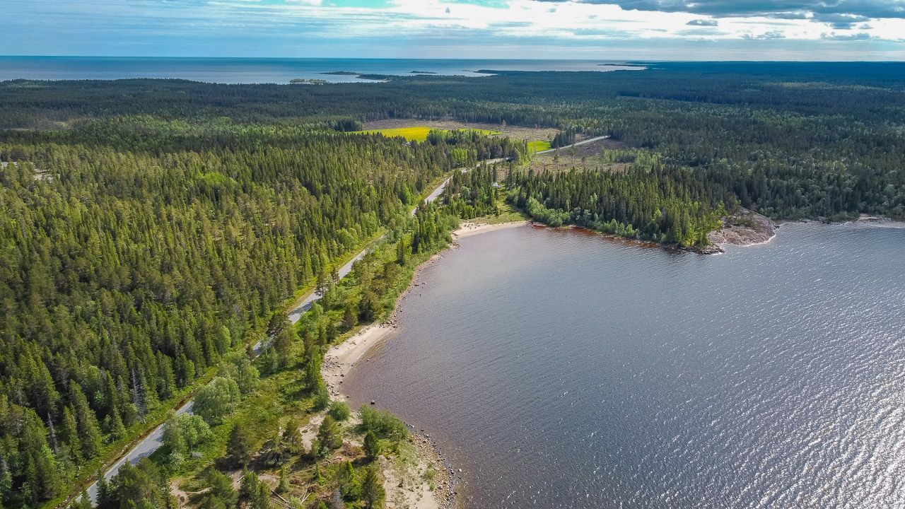 Küste am Bjuröklubb Naturreservat