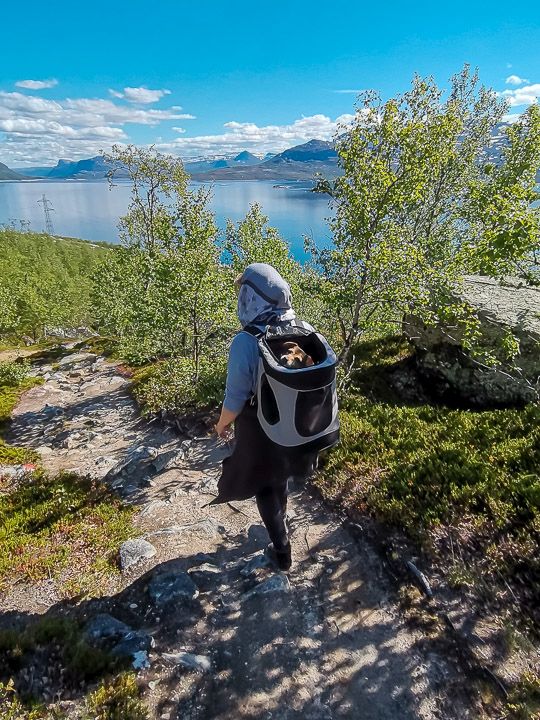 Finja im Rucksack