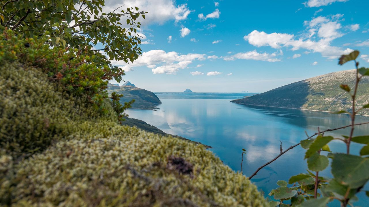 Fjord bei Kleivhalsen