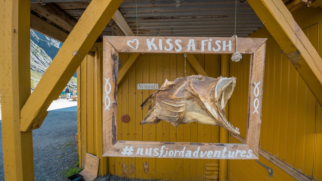 Küss den Fisch