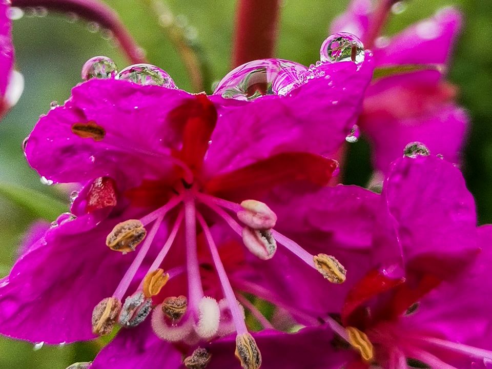 Regenwetter mal anders