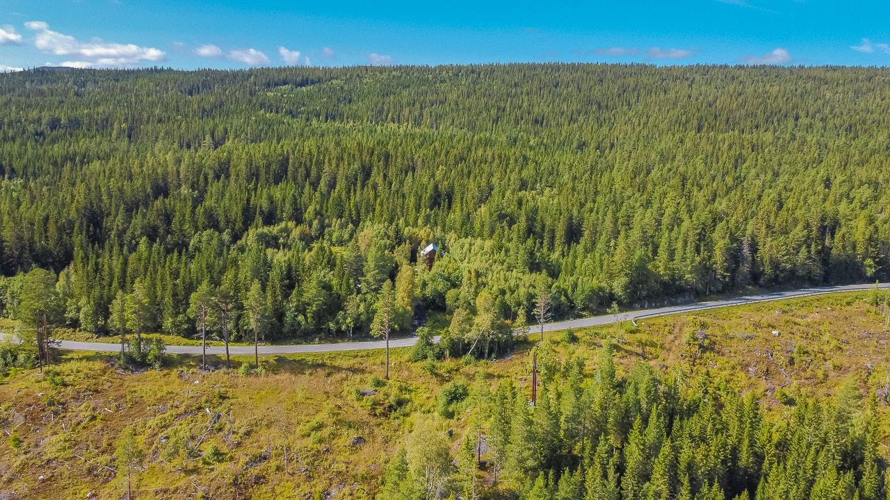 So grün ist es am Berg bei Dani und Tosten