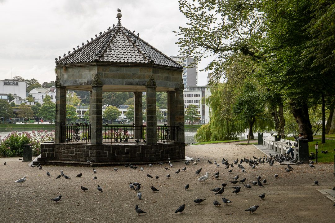 Tauben füttern in Stavanger