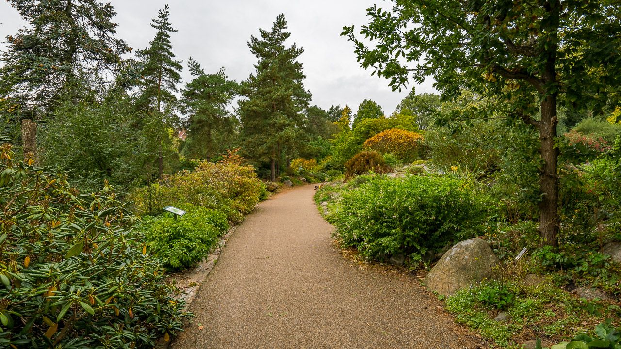 Botanischer Garten in Aarhus-2