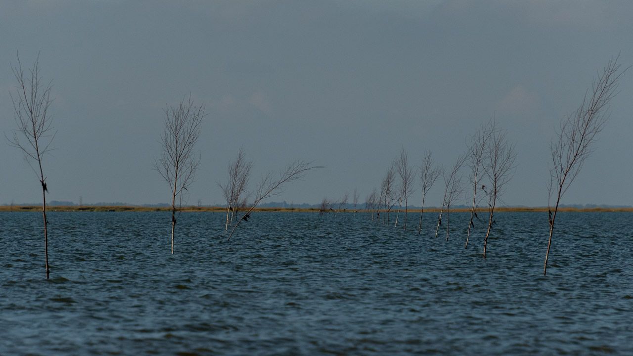 Der Weg auf die Insel