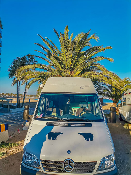 Eisbär unter Palmen in Salou